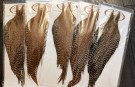 Root River Hackle capes og  saddles, cree capes er på plass!  thumbnail