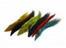 6pcs thumbnail
