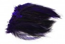 Cock hackles badger - hanehackle! thumbnail
