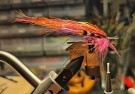 Mye binding bak stikka! TM skarpe Flashwing fluer, TM små sunrays nå!  thumbnail