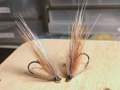 Kuula TM thumbnail