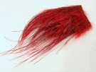 red thumbnail