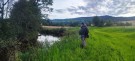 Flott fluefiske kveldstur med Øyvind!  thumbnail