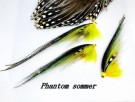Phantom Sommer thumbnail
