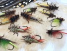 Laksenymfer TM varianter thumbnail