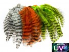 UV2 grizzly softhackle thumbnail