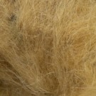 olive dun thumbnail