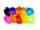 SNS Heron hackle- NYHET24 thumbnail