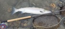 To laks på TM sunray 72cm 3,5kg og 62cm 2,4kg! thumbnail