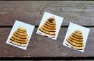 Golden pheasant tipped collar thumbnail