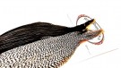 Grade 1 Split Black/Grizzly Capes Root River Hackle- UTSOLGT! thumbnail