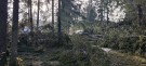 Mye jobb etter stormen 