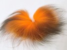 Silver fox  thumbnail