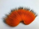 TM sølvrev farget 09/2022- silver fox thumbnail