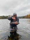En magisk helg med fluefiske. Tfisk team fisket i Glomma. Slutten av sesongen. thumbnail