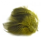 Hareline teal flank feathers thumbnail