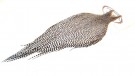 GRADE 1 GRIZZLY NATURAL CAPES ROOT RIVER HACKLE- UTSOLGT! thumbnail