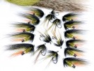 Ake TM variant thumbnail