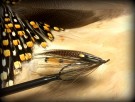 Spey Heggeli variant TM thumbnail