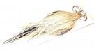 GRADE 1 SILVER BADGER CAPES ROOT RIVER HACKLE thumbnail