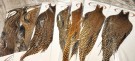 Root River Hackle- cree capes/cree saddles- har kommet! thumbnail
