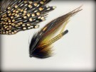 Willie Gun thumbnail