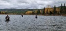 En magisk helg med fluefiske. Tfisk team fisket i Glomma. Slutten av sesongen. thumbnail