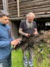 Naturlig påfugl fjær fra Lars Tranmæl!  thumbnail