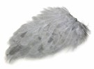 Wapsi hen saddle patch thumbnail