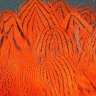 Silver Pheasant Body Feathers- NYHET!  thumbnail