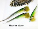 Phantom Olive thumbnail