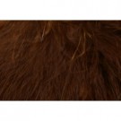 brown thumbnail