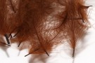 brown thumbnail