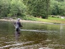 To fine dager i Stjørdalselva 24/25.07! Nam Ren 14ft!  thumbnail