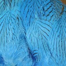 Silver Pheasant Body Feathers- NYHET!  thumbnail