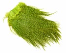 Coq de Leon Bronze Whiting Saddle- NYHET! thumbnail