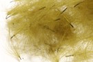 olive thumbnail