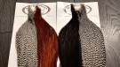 Grade 1 Split Brown/Grizzly Capes Root River Hackle- UTSOLGT! thumbnail