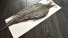 GRADE 1 GRIZZLY NATURAL CAPES ROOT RIVER HACKLE- UTSOLGT! thumbnail