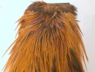 brown thumbnail
