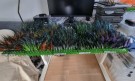 Øyvind leverte 1000stk ferdige bundet sunray shadows!  thumbnail