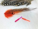 Flashwing TM thumbnail