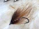 March brown Gaula TM thumbnail