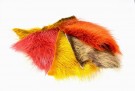FF nutria thumbnail
