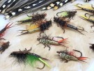 Laksenymfer TM varianter thumbnail