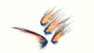 Flashwing Lundamoflua  thumbnail