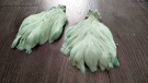 hen capes thumbnail