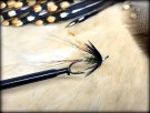 Ake TM variant thumbnail