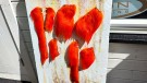 TM isbjørnhår ble farget av hot oransje!  thumbnail