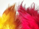 Golden Pheasant Body Feather Substitute NYHET! thumbnail